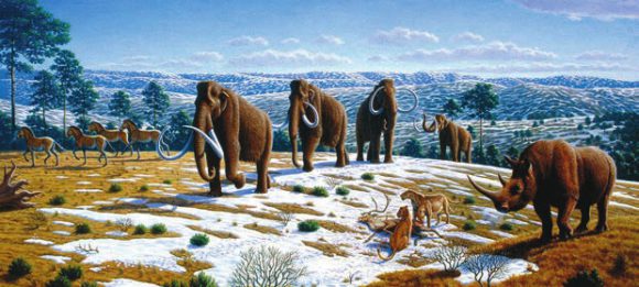 Шерстистые мамонты (Mammuthus primigenius) в тундростепном ландшафте. Рис. Mauricio Antоn из статьи Caitlin Sedwick (1 April 2008) "What Killed the Woolly Mammoth?". PLoS Biology 6 (4): e99. DOI:10.1371/journal.pbio.0060099